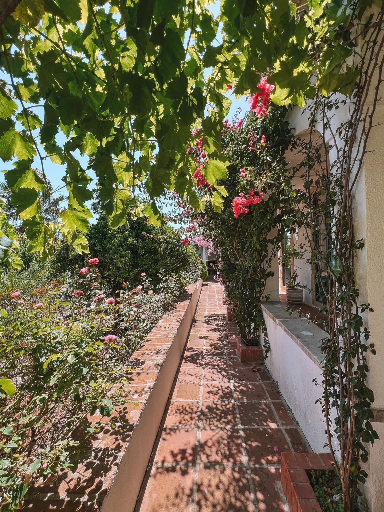 Quinta De Sao Pedro De Tomar Villa ภายนอก รูปภาพ